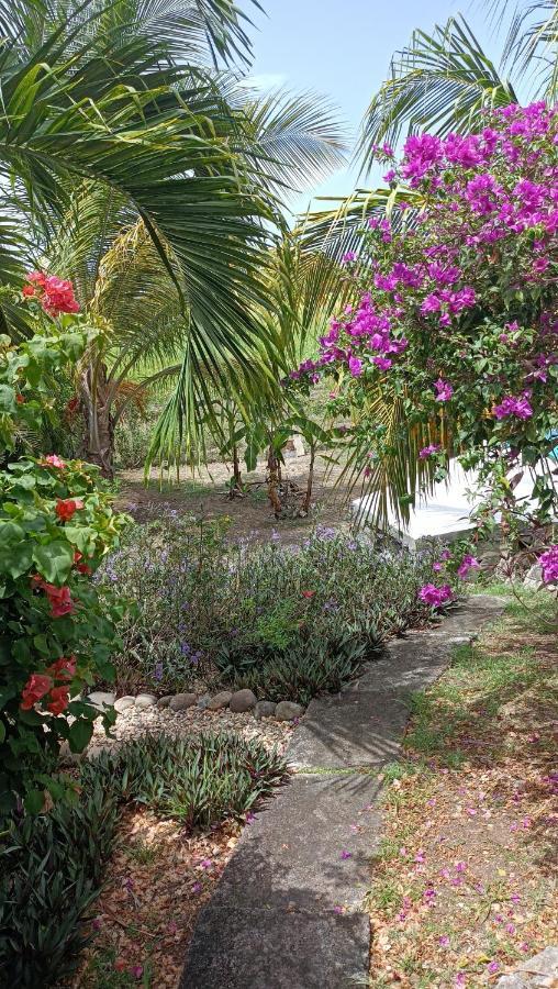 T2 Jardin Clos Les Nids De La Colline 圣弗朗索瓦 外观 照片